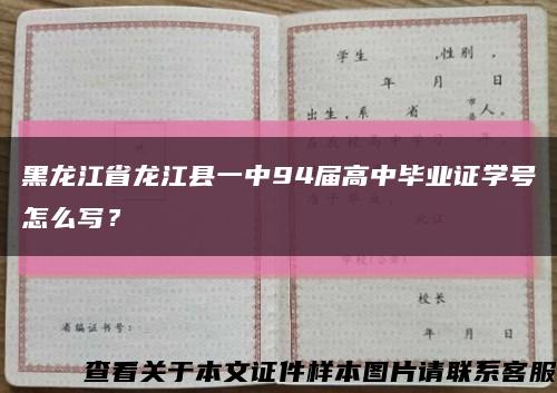 黑龙江省龙江县一中94届高中毕业证学号怎么写？缩略图