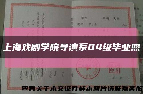 上海戏剧学院导演系04级毕业照缩略图