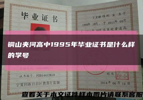 铜山夹河高中1995年毕业证书是什么样的学号缩略图