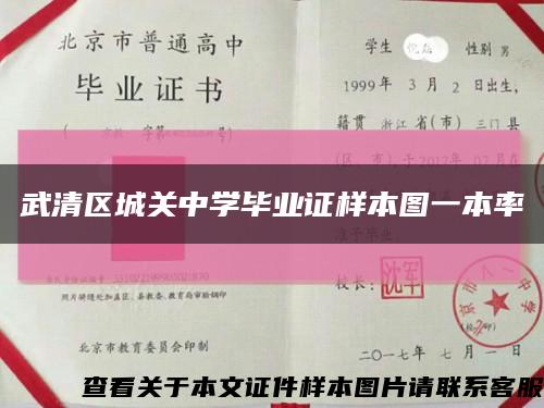 武清区城关中学毕业证样本图一本率缩略图