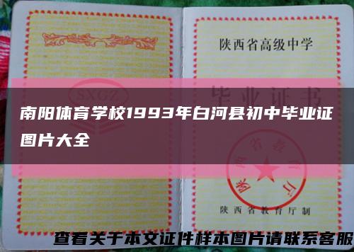 南阳体育学校1993年白河县初中毕业证图片大全缩略图