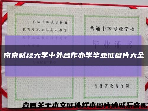 南京财经大学中外合作办学毕业证图片大全缩略图