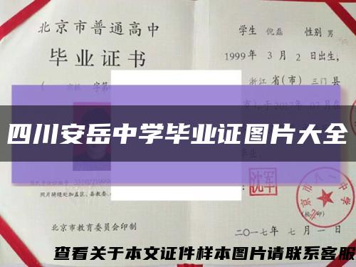 四川安岳中学毕业证图片大全缩略图