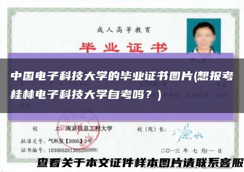 中国电子科技大学的毕业证书图片(想报考桂林电子科技大学自考吗？)缩略图