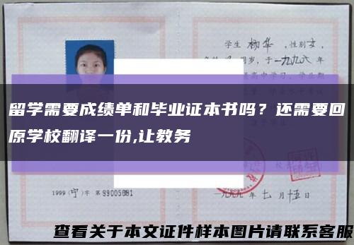 留学需要成绩单和毕业证本书吗？还需要回原学校翻译一份,让教务缩略图