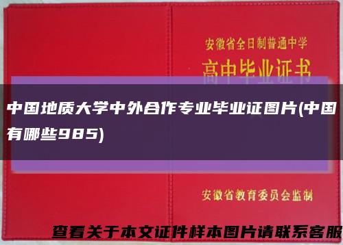 中国地质大学中外合作专业毕业证图片(中国有哪些985)缩略图