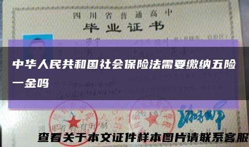 中华人民共和国社会保险法需要缴纳五险一金吗缩略图