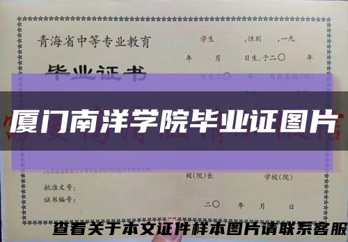 厦门南洋学院毕业证图片缩略图