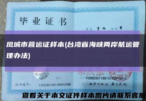 凤城市营运证样本(台湾省海峡两岸航运管理办法)缩略图