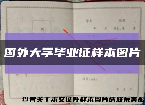 国外大学毕业证样本图片缩略图