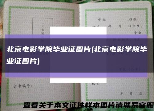 北京电影学院毕业证图片(北京电影学院毕业证图片)缩略图