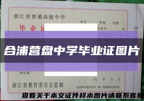 合浦营盘中学毕业证图片缩略图