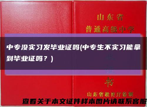 中专没实习发毕业证吗(中专生不实习能拿到毕业证吗？)缩略图