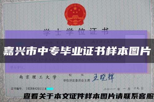 嘉兴市中专毕业证书样本图片缩略图