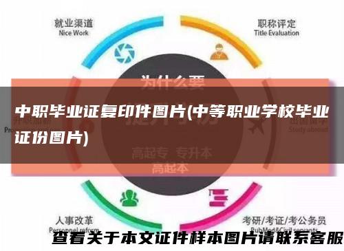 中职毕业证复印件图片(中等职业学校毕业证份图片)缩略图