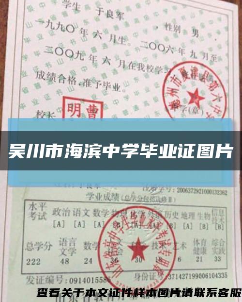吴川市海滨中学毕业证图片缩略图