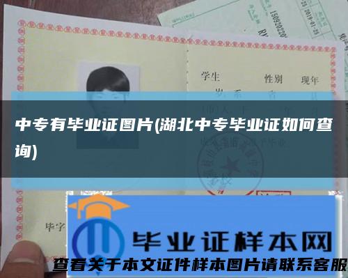 中专有毕业证图片(湖北中专毕业证如何查询)缩略图