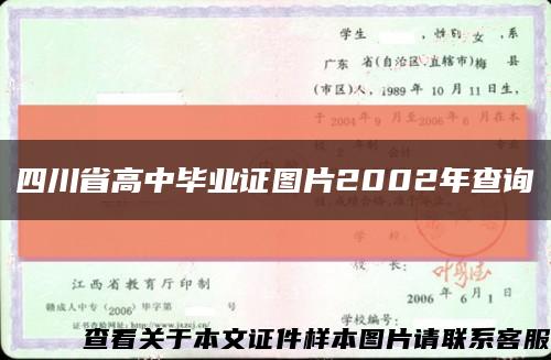 四川省高中毕业证图片2002年查询缩略图