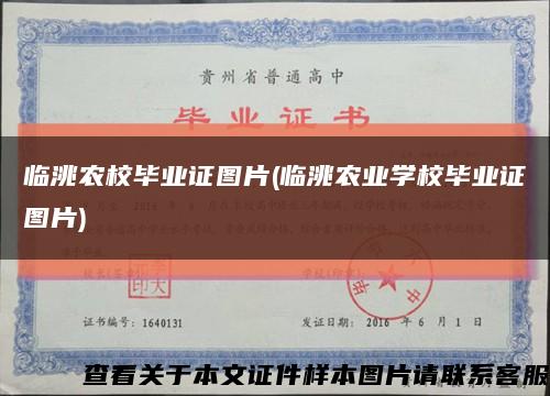 临洮农校毕业证图片(临洮农业学校毕业证图片)缩略图