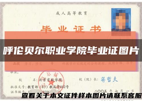 呼伦贝尔职业学院毕业证图片缩略图