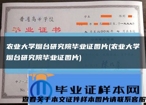 农业大学烟台研究院毕业证图片(农业大学烟台研究院毕业证图片)缩略图