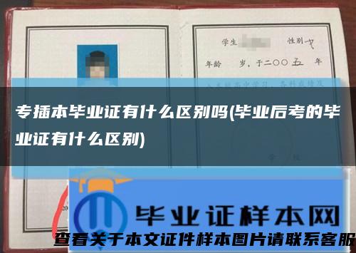 专插本毕业证有什么区别吗(毕业后考的毕业证有什么区别)缩略图