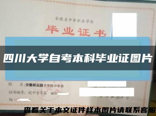四川大学自考本科毕业证图片缩略图