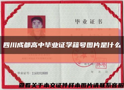 四川成都高中毕业证学籍号图片是什么缩略图