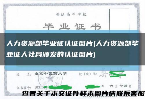 人力资源部毕业证认证图片(人力资源部毕业证人社局颁发的认证图片)缩略图