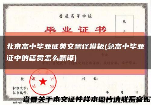 北京高中毕业证英文翻译模板(急高中毕业证中的籍贯怎么翻译)缩略图