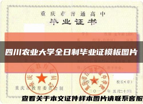 四川农业大学全日制毕业证模板图片缩略图