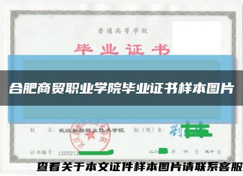 合肥商贸职业学院毕业证书样本图片缩略图