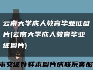 云南大学成人教育毕业证图片(云南大学成人教育毕业证图片)缩略图