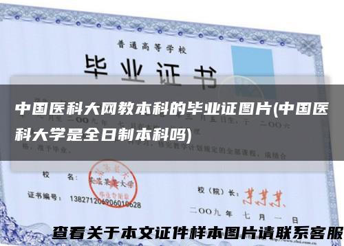中国医科大网教本科的毕业证图片(中国医科大学是全日制本科吗)缩略图