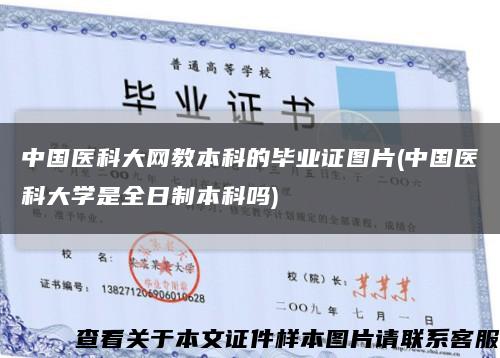 中国医科大网教本科的毕业证图片(中国医科大学是全日制本科吗)缩略图