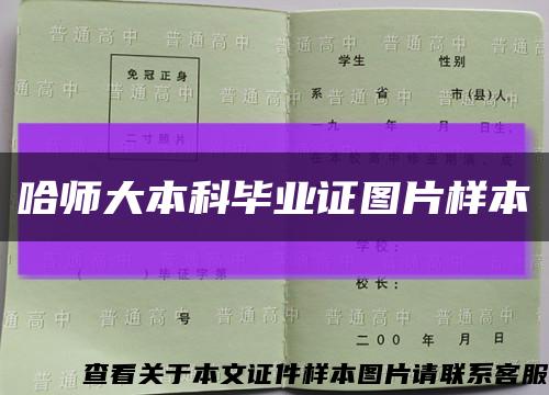 哈师大本科毕业证图片样本缩略图