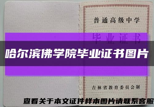 哈尔滨佛学院毕业证书图片缩略图