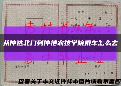 从仲达北门到仲恺农技学院乘车怎么去缩略图