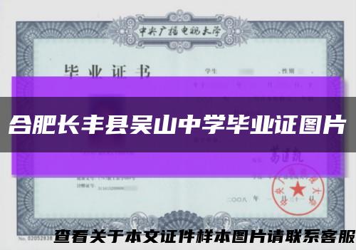 合肥长丰县吴山中学毕业证图片缩略图