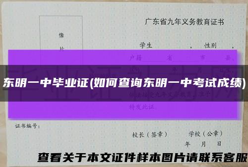 东明一中毕业证(如何查询东明一中考试成绩)缩略图