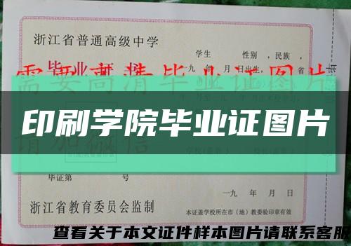 印刷学院毕业证图片缩略图