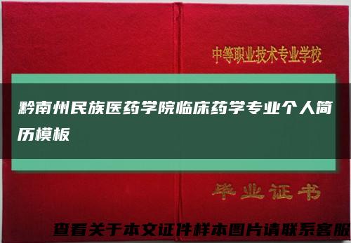 黔南州民族医药学院临床药学专业个人简历模板缩略图