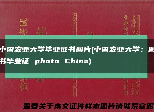 中国农业大学毕业证书图片(中国农业大学：图书毕业证 photo China)缩略图