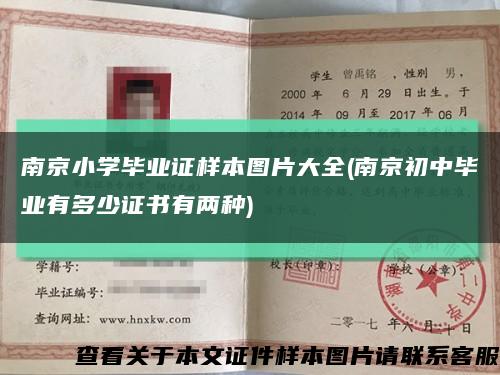 南京小学毕业证样本图片大全(南京初中毕业有多少证书有两种)缩略图