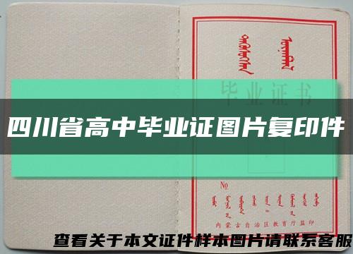 四川省高中毕业证图片复印件缩略图