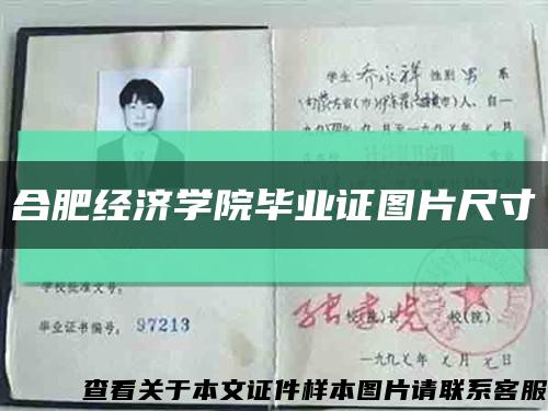 合肥经济学院毕业证图片尺寸缩略图