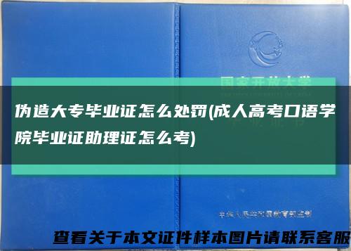 伪造大专毕业证怎么处罚(成人高考口语学院毕业证助理证怎么考)缩略图