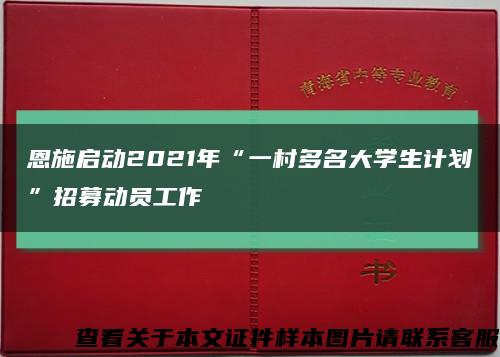 恩施启动2021年“一村多名大学生计划”招募动员工作缩略图