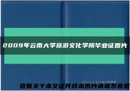 2009年云南大学旅游文化学院毕业证图片缩略图