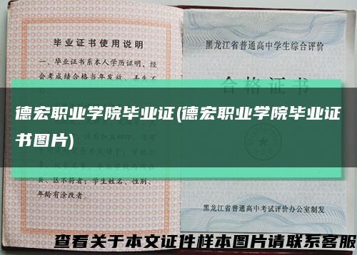 德宏职业学院毕业证(德宏职业学院毕业证书图片)缩略图